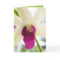 Madame Orchid cards