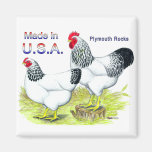 Made In The USA:  Columbian Rocks Fridge Magnet