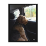 Madeleine Takes a Drive Postcard