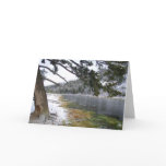 Madison River Below Seven Mile Bridge cards