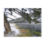 Madison River Below Seven Mile Bridge postcards