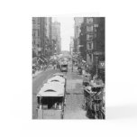 Madison Street, Chicago, 1900 cards