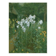 Madonna Lilies in a Garden Postcards
