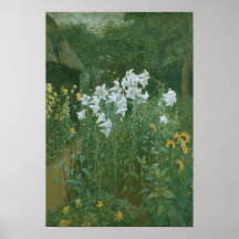 Madonna Lilies in a Garden Poster
