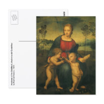 Madonna of the Goldfinch by Raphael or Raffaello Postcard