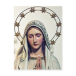 MADONNA POSTCARD