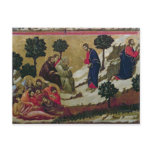 Maesta 2 post cards
