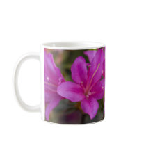Magenta Azalea DSC1724 Mug