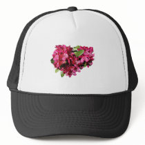 Magenta Azaleas