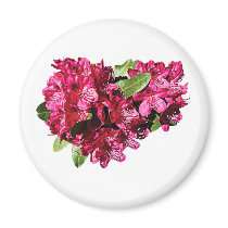 Magenta Azaleas