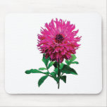 Magenta Dahlia Elsie Huston mousepads
