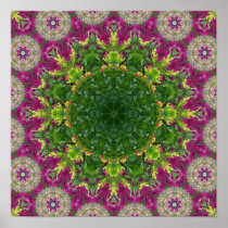 Magenta Flowers Circles Mandala