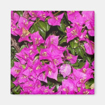 Magenta Green Garden Magnets