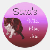 Magenta Kitty Personalised Stickers