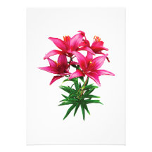 Magenta Lilies Personalised Invitation