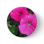 Magenta Morning Glory Button