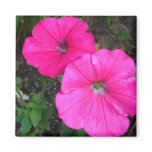 Magenta Morning Glory Magnet
