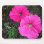 Magenta Morning Glory Mousepad