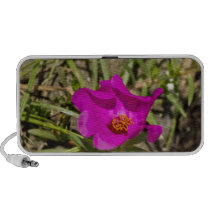Magenta Pink Poppy Flower Iphone Speakers