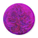 Magenta Rose Puff magnets