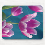 magenta tulips mousepad
