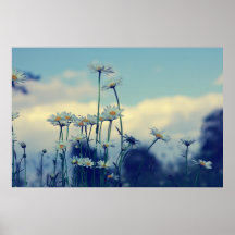Magerieten Himmel Poster