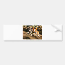 Maggie and Charlie's Vacation Bumper Sticker