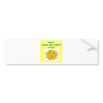 magic bumper stickers