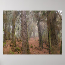 Magic Cloud Forest in Aguamansa Posters
