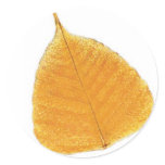 Magic Forest Golden Leaf stickers