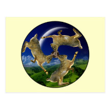 Magic Hares Post Card