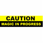 Magic In Progress Sculpture photo sculptures