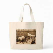 Magic Lantern Slide Ringling Bros Elephant Train Bags