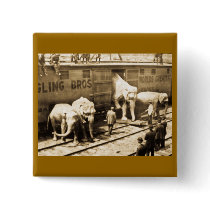 Magic Lantern Slide Ringling Bros Elephant Train Buttons