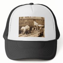 Magic Lantern Slide Ringling Bros Elephant Train Mesh Hats
