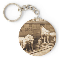 Magic Lantern Slide Ringling Bros Elephant Train Key Chain