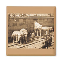 Magic Lantern Slide Ringling Bros Elephant Train Refrigerator Magnets