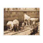 Magic Lantern Slide Ringling Bros Elephant Train postcards