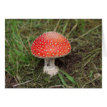 Magic Mushroom Card