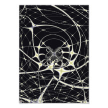 Magic Spiderweb Art Photo