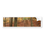 Magic Wood Stairs Bumper Stickers