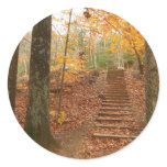 Magic Wood Stairs Sticker