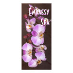 Magical Beauty of Phalaenopsis Orchid rack cards
