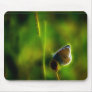 Magical Common Blue Mouse Pads