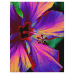 Magical Flower flyers