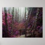 Magical Forest Print