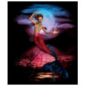 Magical Mermaid Moon t-shirts