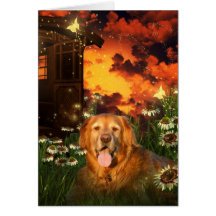 Magical summer night greeting card