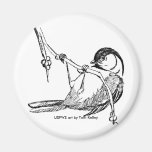 Magnet / Black-capped Chickadee