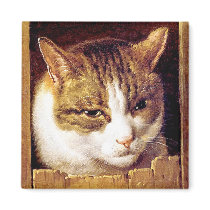 Magnet: "Cat Peeping Through A Fence"